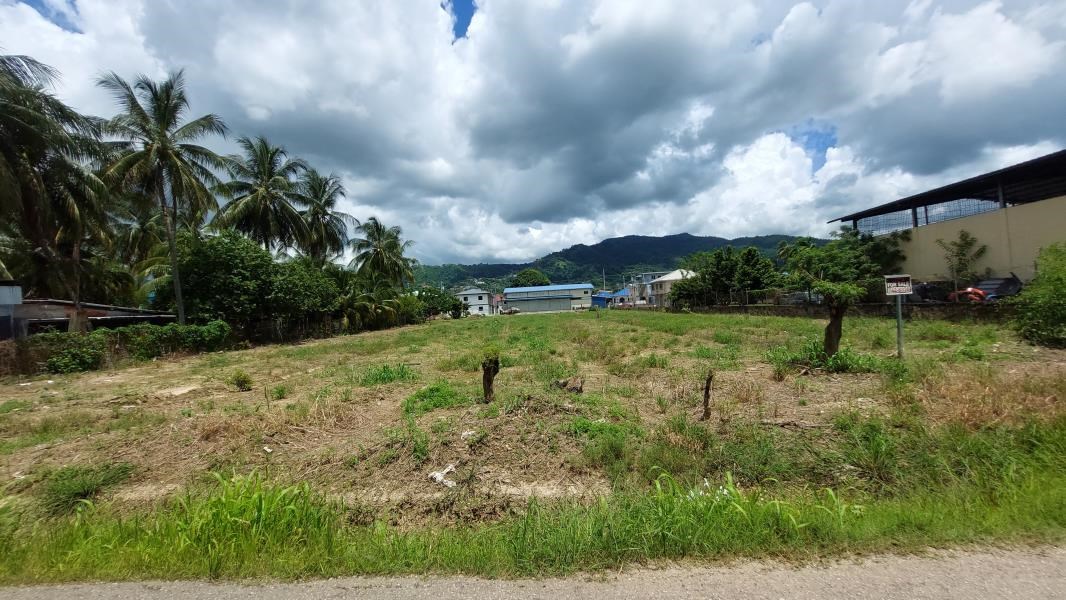 RE/MAX real estate, Trinidad and Tobago, Arima, Mt. Lambert Land for sale 